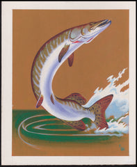 US Cachet /Stamp Artwork - Colorano #2205