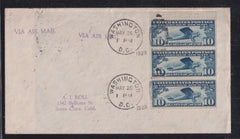 US Airmails #C10a F - VF