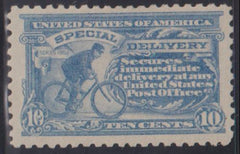 US Special Delivery #E10 Mint\Hinged VF