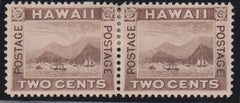 US Possessions - Hawaii #75 Hinged