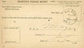 US 1895 Big Bug Arizona Cancel