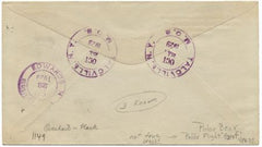 US New York, Talcville 623 Fancy Cancel Cover, Polar Bear