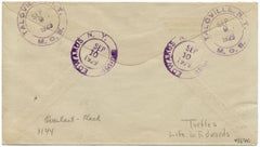 US New York, Talcville 623 Fancy Cancel Cover, Turtles