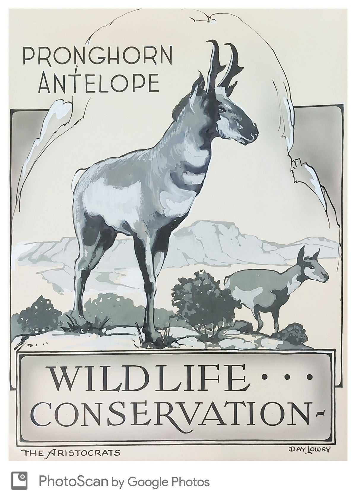 US The Aristocrat Artwork 1956 #1078  Wildlife Conservation - Pronghorn Antelope