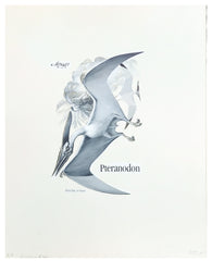 US Artmaster Scott 2423 1989 Prehistoric Animals - Pteranodon Artwork