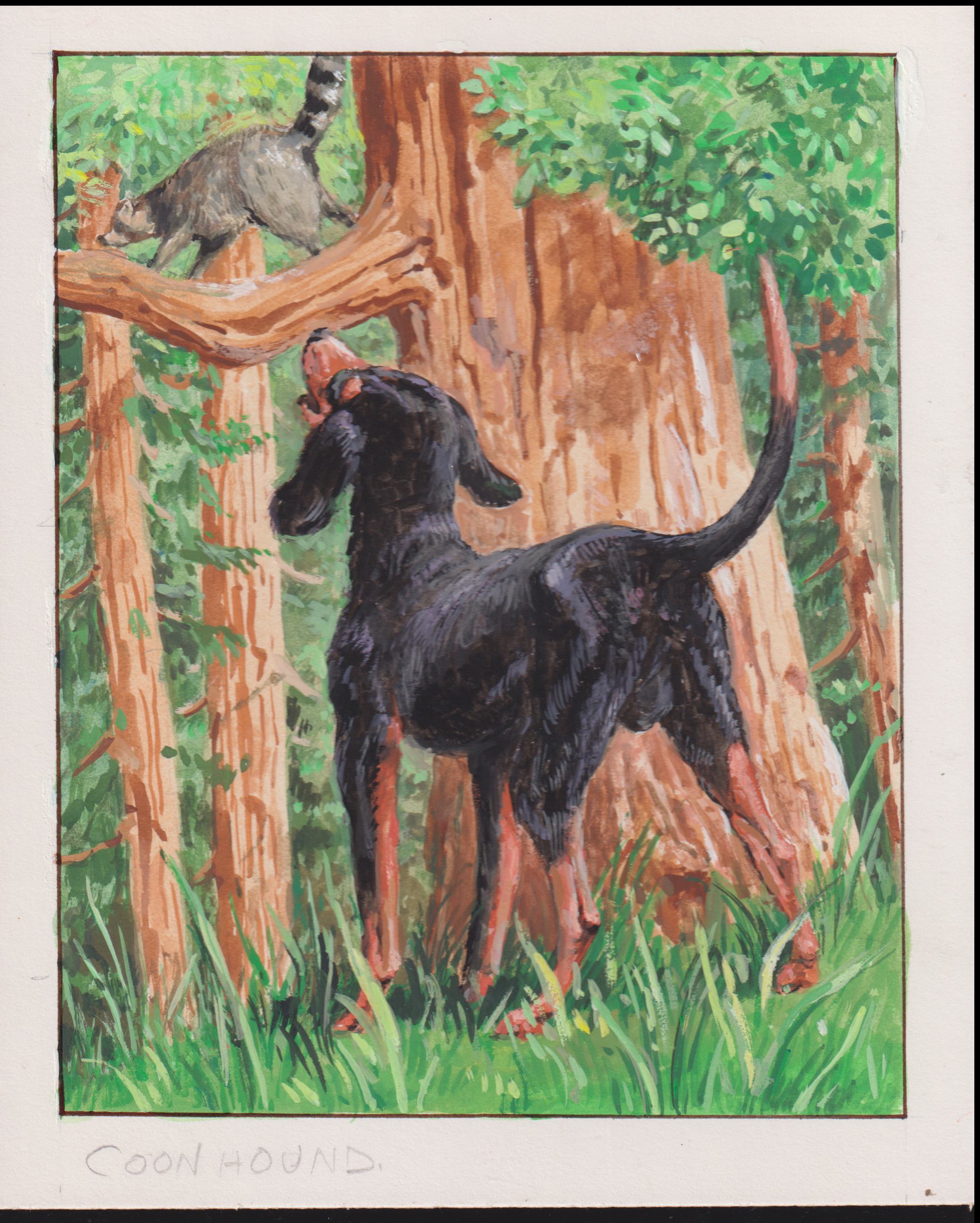 US Cachet /Stamp Artwork - Colorano #2101
