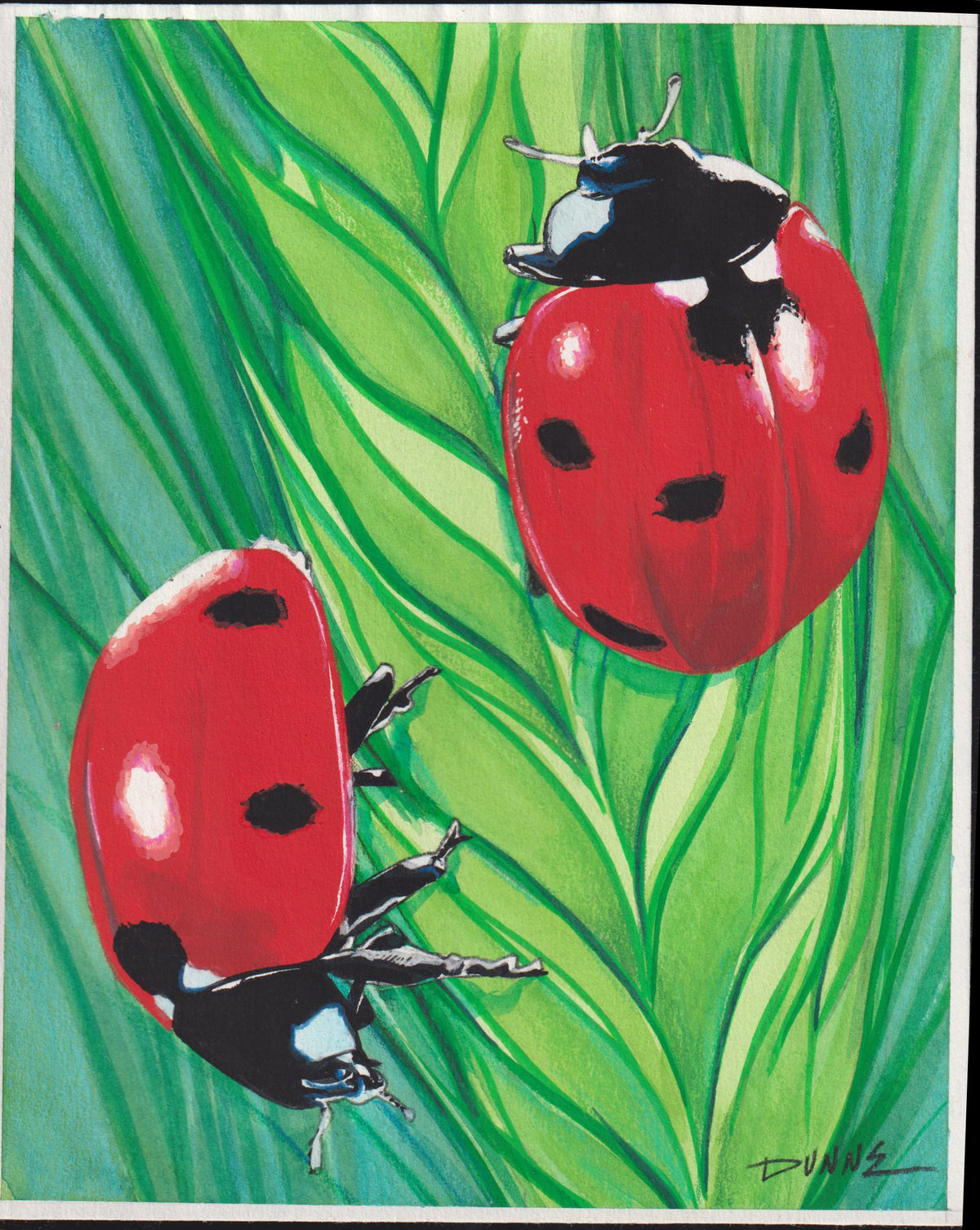US Cachet /Stamp Artwork - Colorano Cover Art #3351c