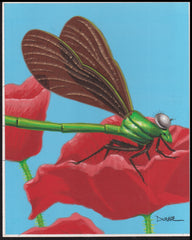 US Cachet /Stamp Artwork - Colorano Cover Art #3351h