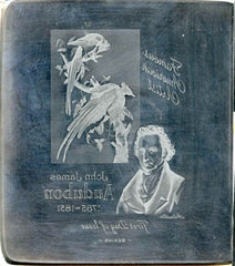 US Artmaster Scott 1241 1963 John J. Audubon, Columbia Jays - Plate