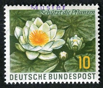 Germany 1957 773 Specimen Ovpt -  Water Lily