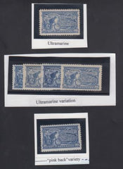 US E11 Special Delivery VF NH, Group of 6 Stamps; 5 Different Shades of Ultramarine, Plus 1 Pink Back; All Fresh! cv $450