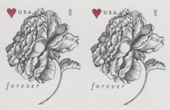 US 4959a Modern Imperf 49¢ Roses Pair