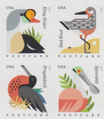 US 4991-94b Modern Imperf Coastal Birds Block of 4
