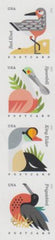US 4991-94b Modern Imperf Coastal Birds Strip of 4