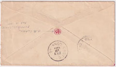 US 1889 Rare Hand Drawn Cover of Bird Chasing Insect