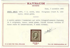 US 263 Bureau and Regular Issue Ave-F Mint Sound Unused, No Gum - Raybaudi Cert cv $2,100