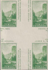 US 769a 1¢ Yosemite S/S Farley Mint Positions No Gum VF Center Line Or Cross Gutter Block