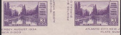 US 770a 3¢ Mt. Rainer S/S Farley Mint Positions No Gum VF Vert. Pair Horiz. Line