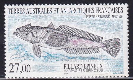 French Southern & Antartic Territories C144 Fish