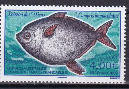 French Southern & Antartic Territories 382 Southern Opah Fish
