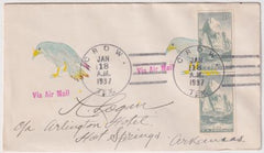 US Texas, Crow 763 Fancy Cancel Cover, Colorful Crow Cancel