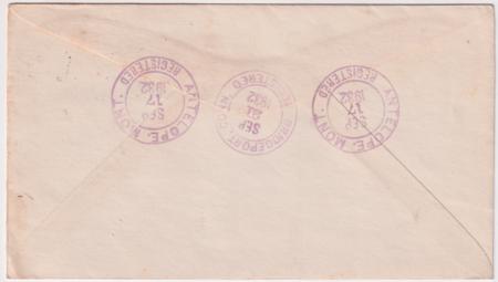 US Montana, Antelope 641 Fancy Cancel Cover Antelope in Circle