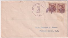 US Illinois, Buffalo Hart 706  Fancy Cancel Cover