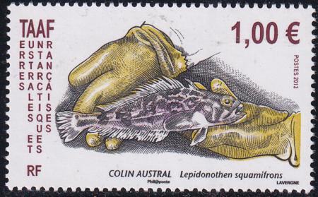French Southern & Antartic Territories 474 Fish