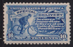 US Special Delivery #E9a LH VF Blue Shade Cat Value: $260